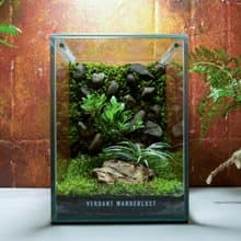 【生態缸－石隱杜鵑】微景觀 室內植栽 禮物 辦公室擺設