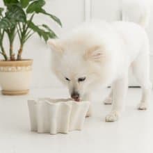 Ameba pet bowl  ペットボウル　食器スタンド　小型犬　中型犬　ネコ　陶器