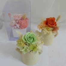 情人節禮物花束小清新永生玫瑰盆花 求婚告白情人節生日男/女生中