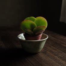 白層・琉璃海・翡・敞口花盆