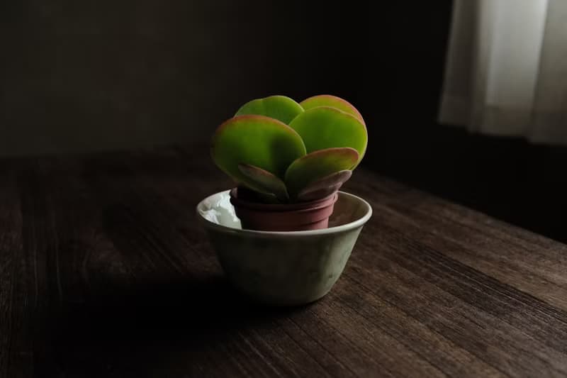 白層・琉璃海・翡・敞口花盆