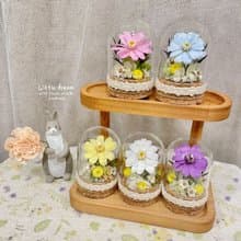 | 小夢境花藝 | 永生花 小百日草 玻璃器皿 許願瓶 日本大地農園