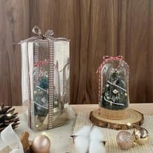 【瓶中聖誕樹】聖誕節 雪松 交換禮物 聖誕禮物 聖誕花圈 附禮盒