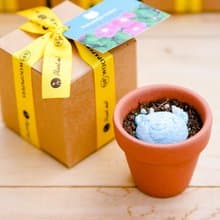 Animal Grows 藍色小熊造型種子球植栽組 生日禮/感謝禮/畢業禮