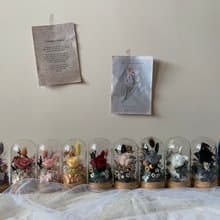 sueing_blossom 永生玫瑰迷你玻璃罩 永生玫瑰 乾燥花 永生花