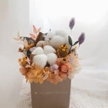 木質調棉花盆花 永生花 永生盆花 聖誕節禮物