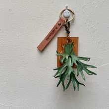 爪哇鹿角蕨_皮革吊飾 / 送禮