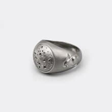 Full Moon Ring / DR-8
