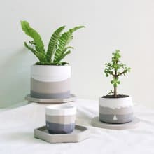 水泥花盆 / 清晨雲霧山稜【無植物】