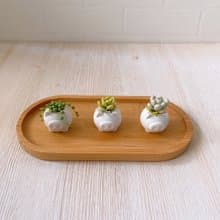 【仿真黏土多肉植物組盆-迷你豬豬盆3入組】接單製作款