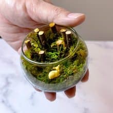 新品上市 一鹿有你'妳' / 迷你掌上型手工微景觀生態盆