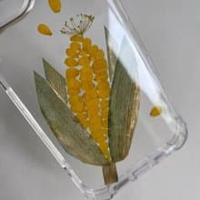 原創 玉米 搞笑禮物 趣味押花手機殼
