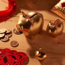 GOLDENPIG | 招財金豬 捌 霧金