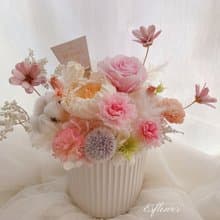 永生康乃馨母親節盆花 含燙金母親節插卡 附卡片