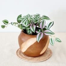 Wooden pots (pretzels) include artificial plants.