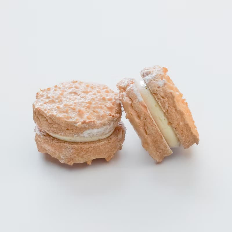 【REEDS】達克瓦茲9入禮盒