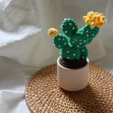 辦公室小物-毛線仙人掌