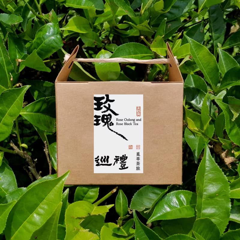 玫瑰巡禮 | 茶包10入【享受兩種玫瑰】