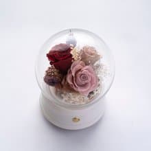 恆星花園藍芽喇叭 - 白