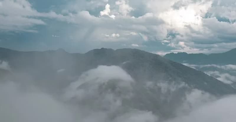 執行長推薦覓境拉拉山雲霧松木禮盒(伴手禮附提袋)