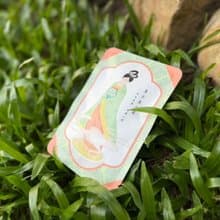 東方美人立體茶包 茶暖人間 明信片風格 (2.5gx2入/包) 台灣農林