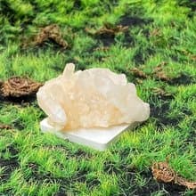 天然原礦能量白水晶簇 消磁淨化 開運 辦公室 風水 擺件 入厝禮物