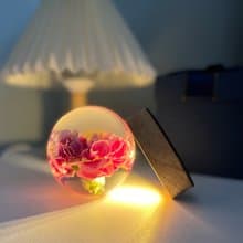 紅色康乃馨樹脂球小夜燈