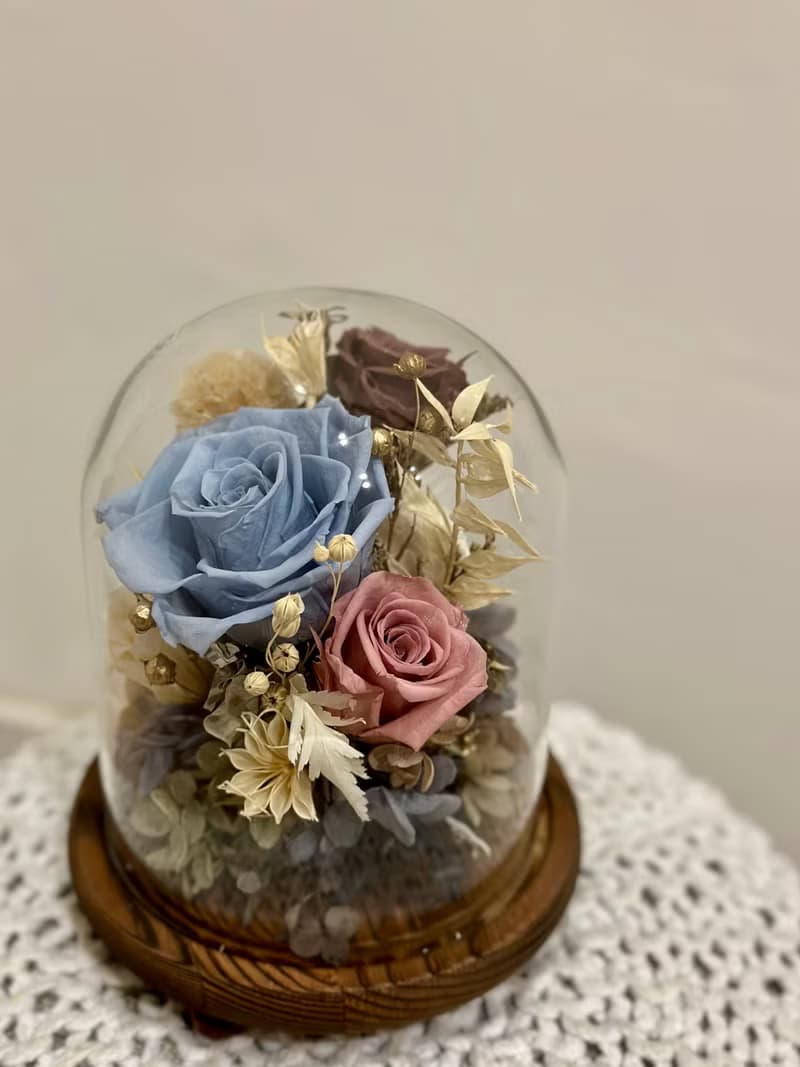 莫蘭迪玫瑰玻璃罩 永生花盅 情人節禮物