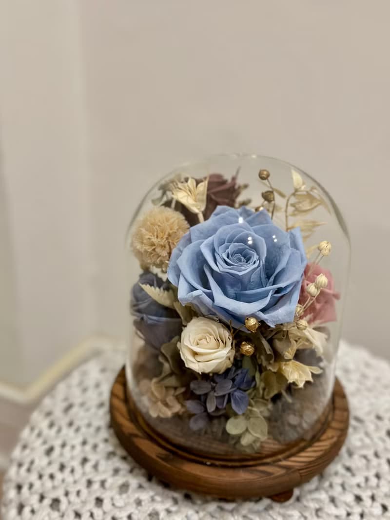 莫蘭迪玫瑰玻璃罩 永生花盅 情人節禮物