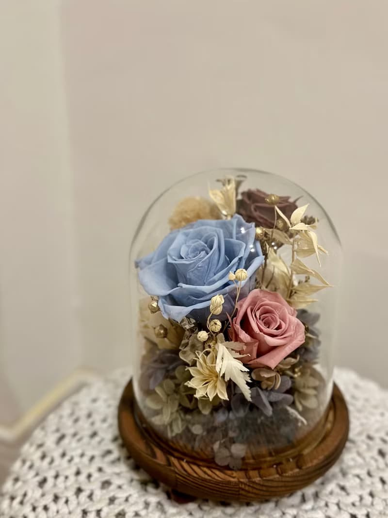 莫蘭迪玫瑰玻璃罩 永生花盅 情人節禮物