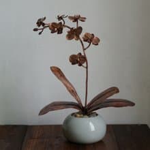 【溪山手作】手工紫銅蝴蝶蘭花插現代家居飾品中式盆景工藝品