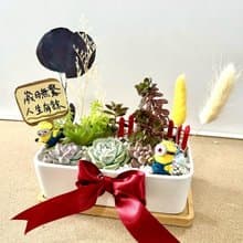 小小兵 貓咪 日式盆栽送禮 多肉組盆 多肉植物 升遷 生日
