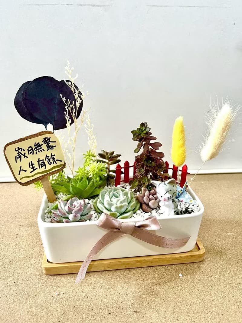 小小兵 貓咪 日式盆栽送禮 多肉組盆 多肉植物 升遷 生日