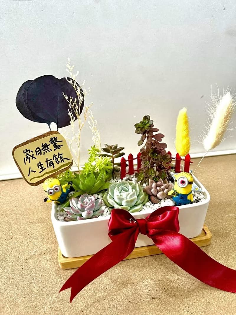 小小兵 貓咪 日式盆栽送禮 多肉組盆 多肉植物 升遷 生日