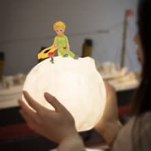 VIPO 小王子玫瑰星球燈 - 23cm