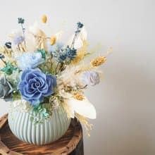 【竒花】綠野仙蹤永生乾燥盆花 開幕 喬遷 升遷 生日