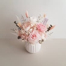 永生花+乾燥花|輕柔淡粉永生玫瑰乾燥盆花|萬用祝賀 生日 喬遷