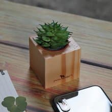 愛麗絲 花盆-小 (不含植物)