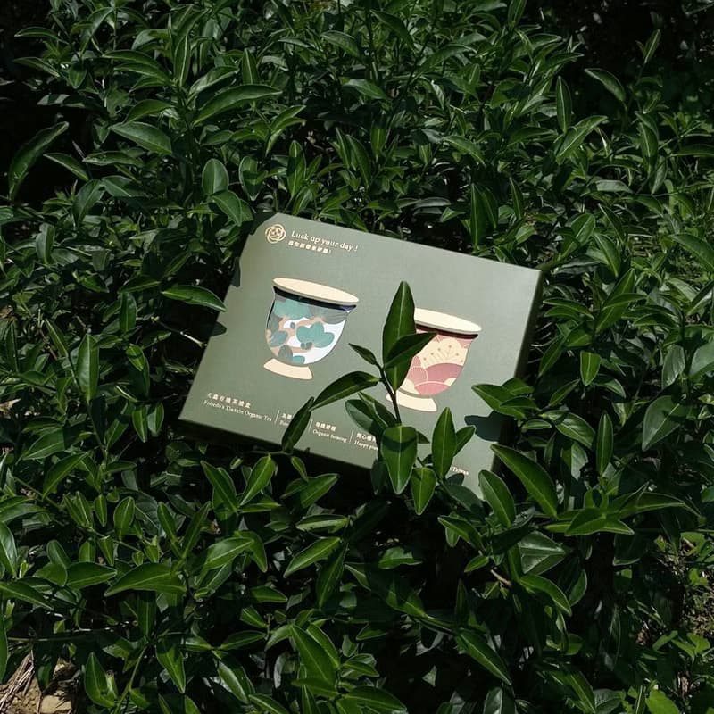 【弗貝多】年末獻禮 | 天鑫得獎有機茶葉禮盒 包種茶100g/2盒
