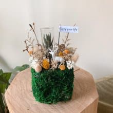 地球是方的 mini zoo系列