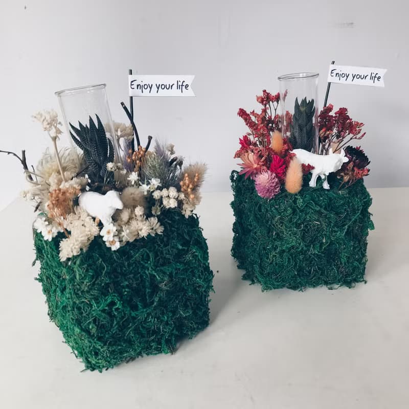 地球是方的 mini zoo系列