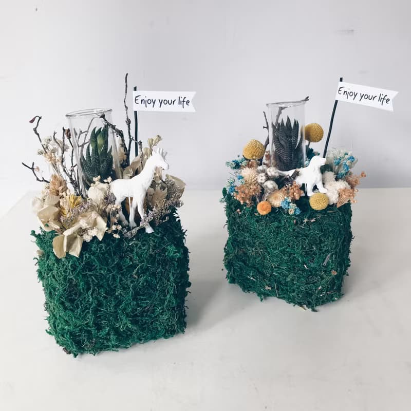 地球是方的 mini zoo系列