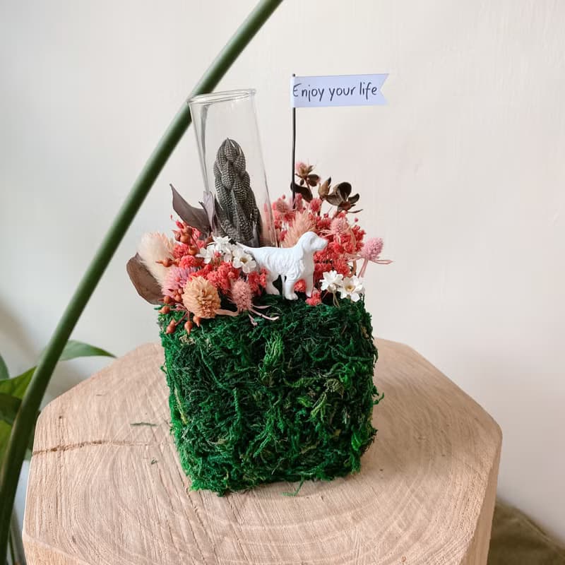 地球是方的 mini zoo系列