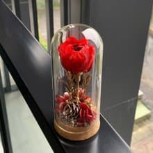 摯愛玫瑰 永生花 摯愛緋紅系列 (生日/桌花/氛圍感/禮物/家居裝飾