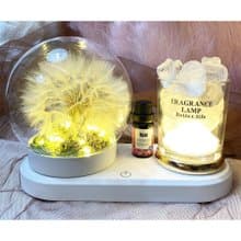 巨型療癒系蒲公英圓球玻璃罩燈飾 - 水晶石擴香系列