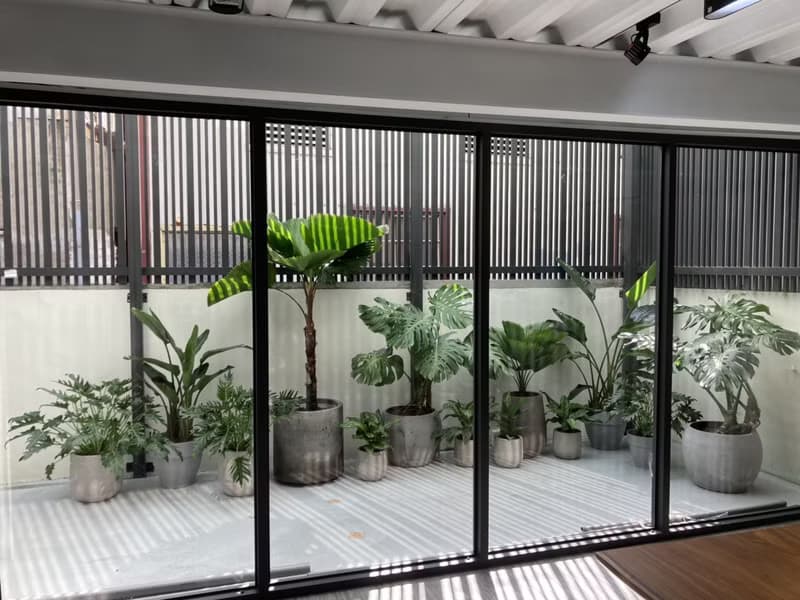 【居家綠化】台南透天厝－雨林熱帶風