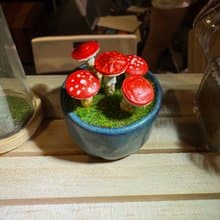 黏土蘑菇組合盆栽