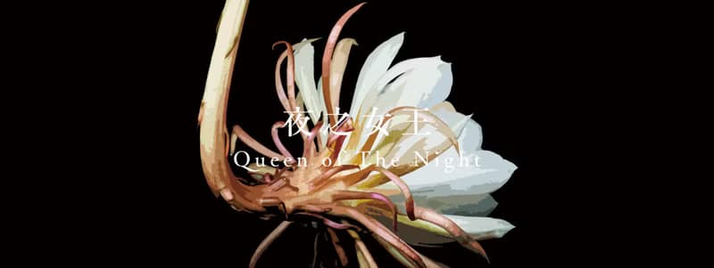 【春及殿】夜之女王 Queen of The Night 手工香氛蠟燭