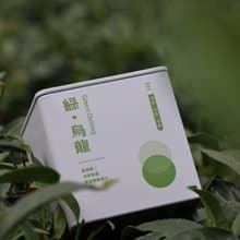 【茶茶茶】高山烏龍茶-綠 ‧ 烏龍鐵罐75g