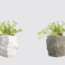 │ 方盆系列 │ 百萬心 - 垂掛植物 水耕盆栽 陶瓷盆器